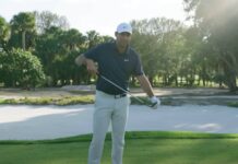 Spiny to winny wedges with Scheff