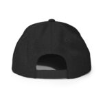 classic-snapback-black-back-672bfe0248a34.jpg