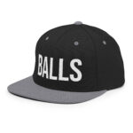 classic-snapback-black-silver-left-front-672c02207c851.jpg