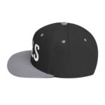 classic-snapback-black-silver-left-side-672bfa0d6eb06-1.jpg