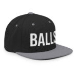 classic-snapback-black-silver-right-front-672c02207d219.jpg