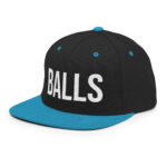 classic-snapback-black-teal-left-front-672c02207a8e9.jpg