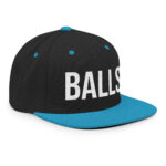 classic-snapback-black-teal-right-front-672c02207b289.jpg